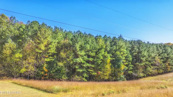Spring City, TN 37381,4.99 acres Juniper CT