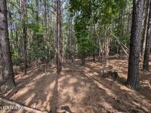 Spring City, TN 37381,4.99 acres Juniper CT