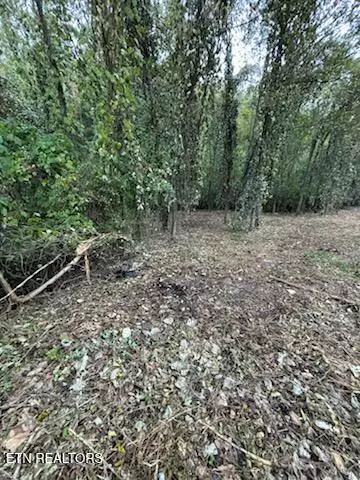 Pigeon Forge, TN 37863,439 Caney Creek Rd