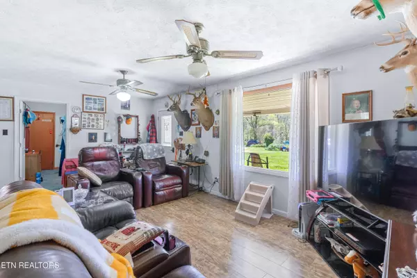 Sunbright, TN 37872,181 Mullins Lane