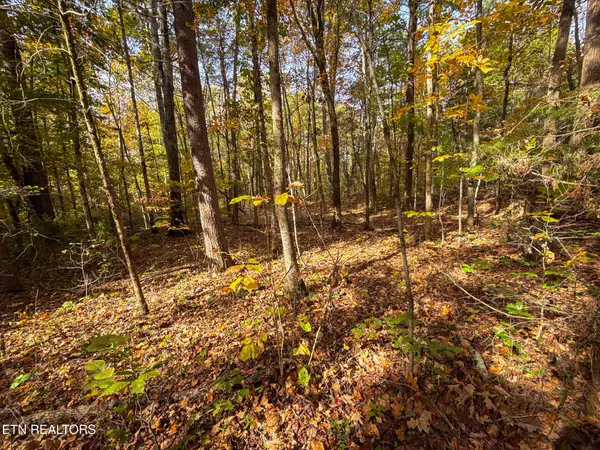 Etowah, TN 37331,County Road 475