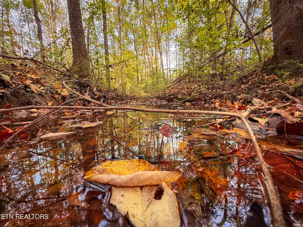 Etowah, TN 37331,County Road 475