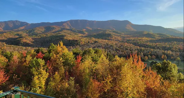 Gatlinburg, TN 37738,3710 Weber Rd #C203