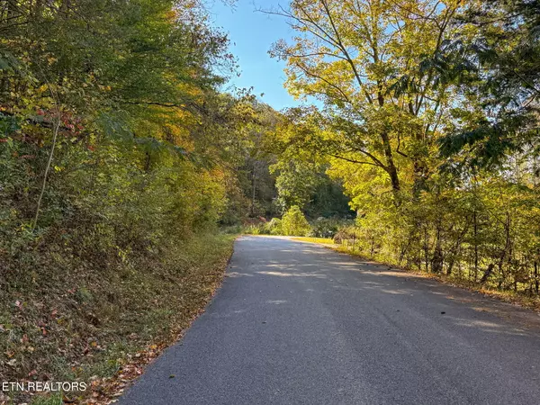 Rocky Top, TN 37769,Strong Hollow LN