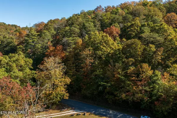 Rocky Top, TN 37769,Strong Hollow LN