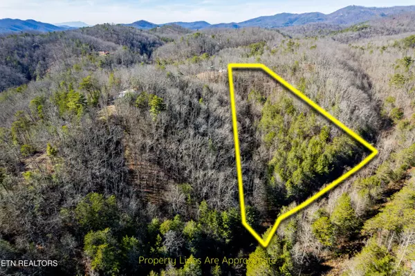 Cosby, TN 37722,Raymond WAY