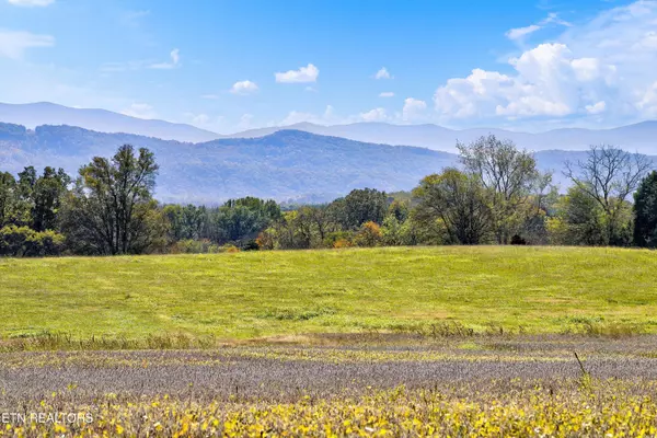 Maryville, TN 37804,1816 Brown School Rd