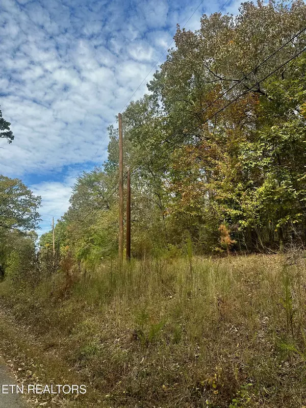 Rockwood, TN 37854,Eagle Point DR