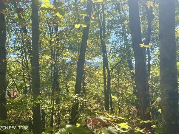 Sevierville, TN 37876,1844 Creek Hollow Way WAY