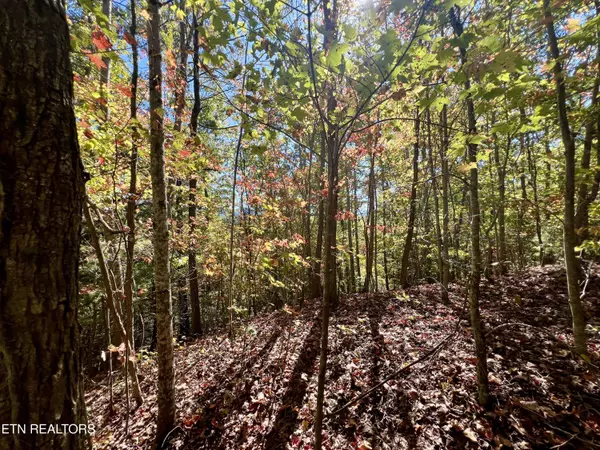 Sevierville, TN 37876,1844 Creek Hollow Way WAY