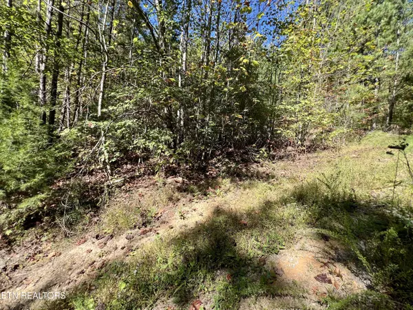 Sevierville, TN 37876,Parcel 20 Creek Hollow Way