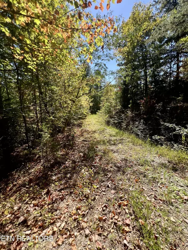 Sevierville, TN 37876,Parcel 20 Creek Hollow Way