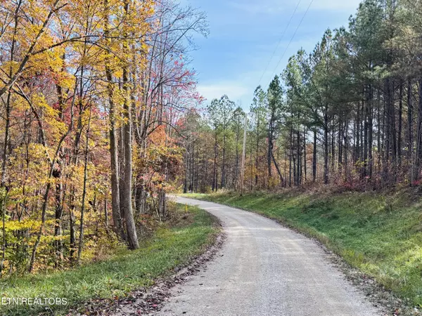 Robbins, TN 37852,Stonecipher CT