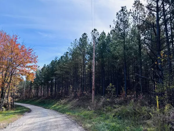 Robbins, TN 37852,Stonecipher CT