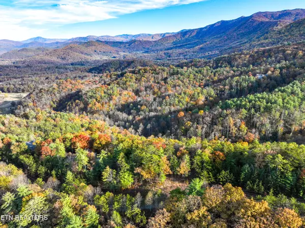 Townsend, TN 37882,Bear Den Rd