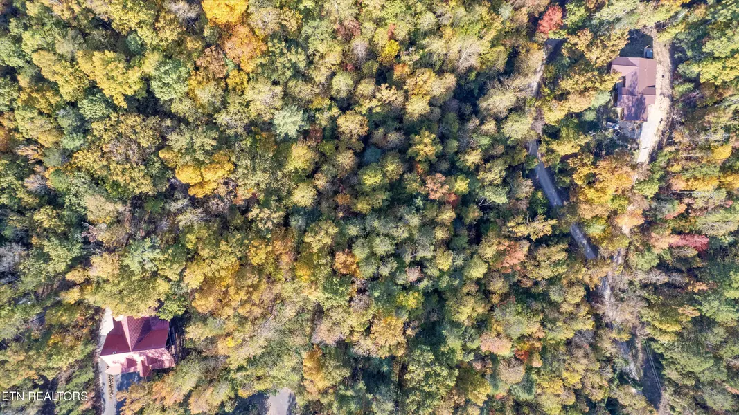 Sulpher Springs Way WAY, Sevierville, TN 37862