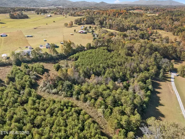 Tellico Plains, TN 37385,Old Sink Church Road, 32