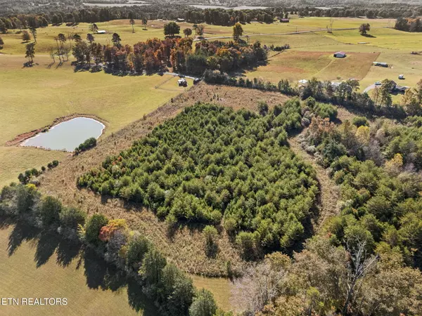 Tellico Plains, TN 37385,Old Sink Church Road, 31