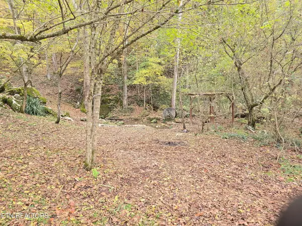 Mosheim, TN 37818,2440 Mount Carmel Rd