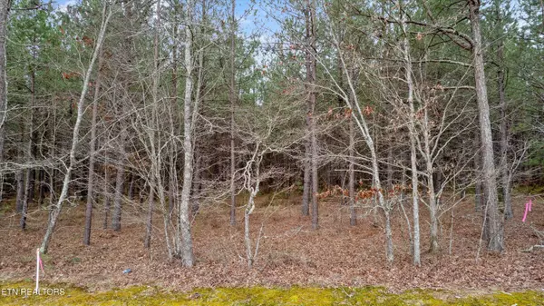 Sunbright, TN 37872,0 Morgan Co Hwy