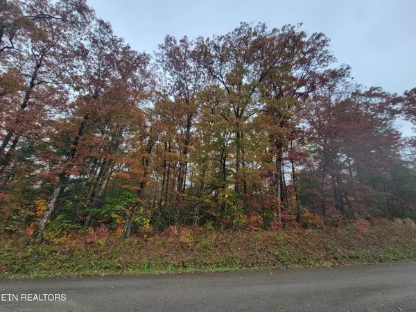 Oneida, TN 37841,6605 Grave Hill Rd