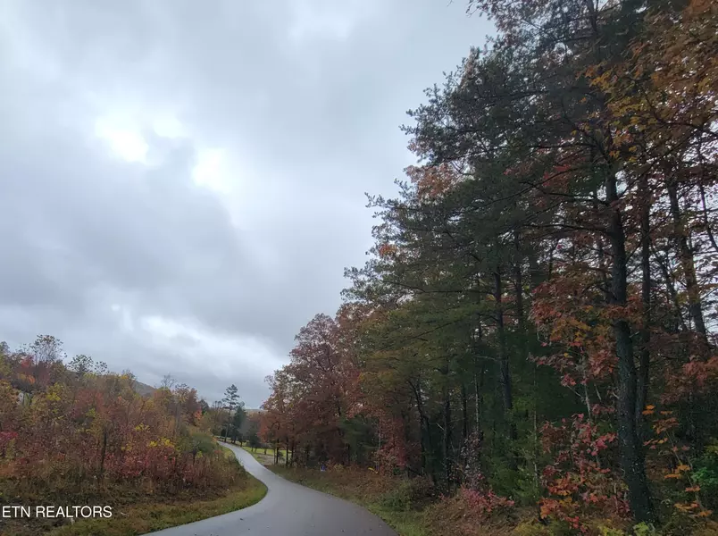 6605 Grave Hill Rd, Oneida, TN 37841