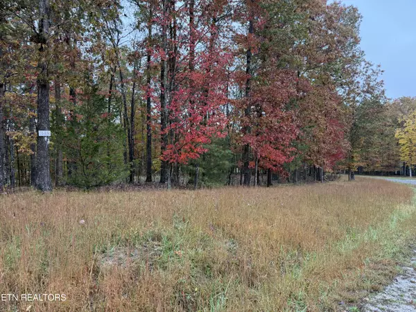 Jamestown, TN 38556,Crockett Crest LN