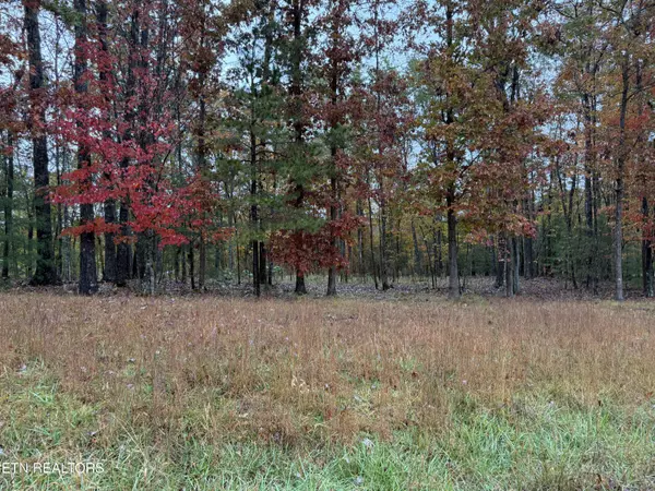 Jamestown, TN 38556,Crockett Crest LN