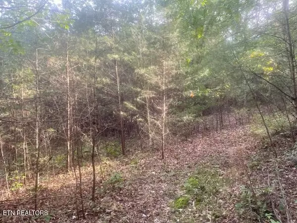 Dunlap, TN 37327,3 Countryside DR