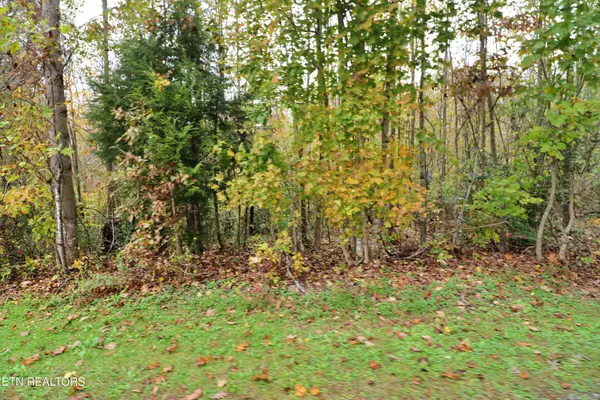 Oneida, TN 37841,Hilltop DR