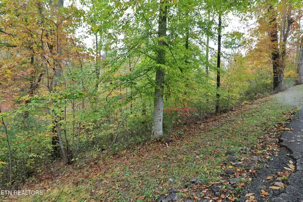 Oneida, TN 37841,Hilltop DR