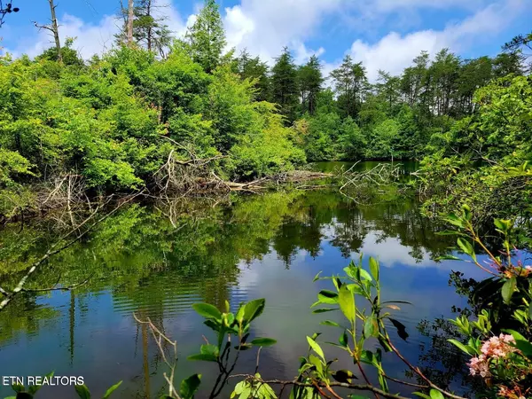 Monterey, TN 38574,5 Cumberland Lakes Lot 5 DR