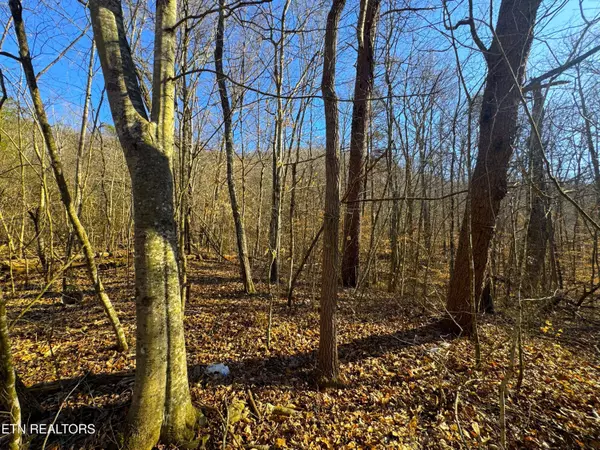 Luttrell, TN 37779,8.30 acres Wolfenbarger LN