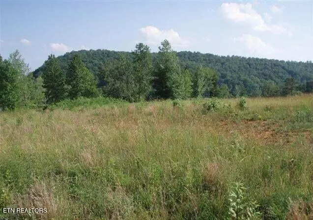 Blue Heron Bluff, Harriman, TN 37748