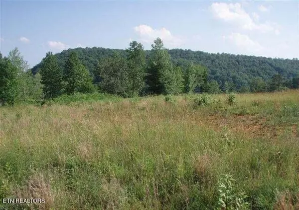 Blue Heron Bluff, Harriman, TN 37748