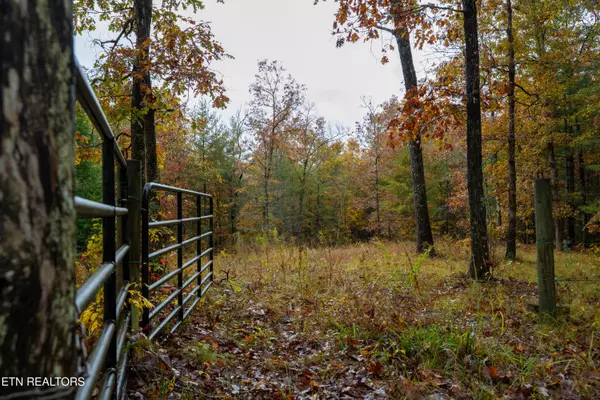 00 Trailhead LN, Jamestown, TN 38556