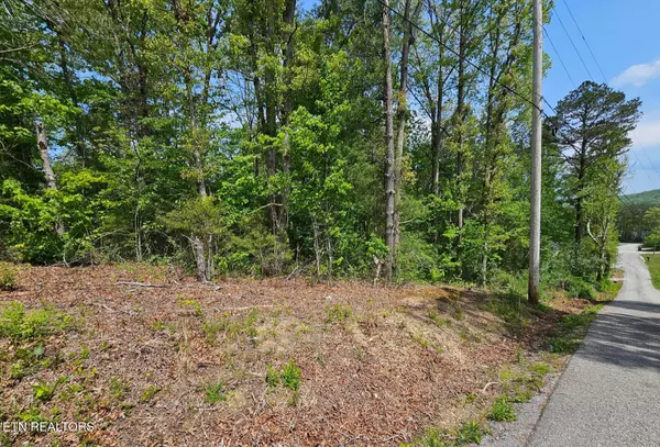 Helenwood, TN 37755,Sutherland DR