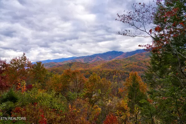 Gatlinburg, TN 37738,429 Deer Path LN #103