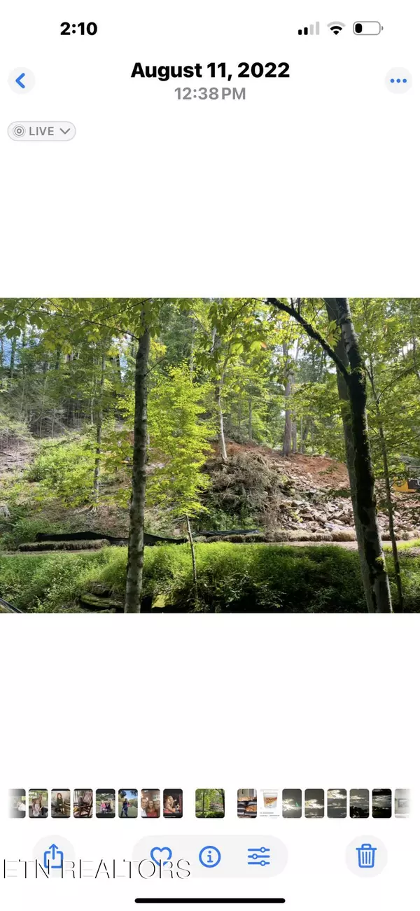 Sevierville, TN 37862,Lot 5 Cabin Creek Way