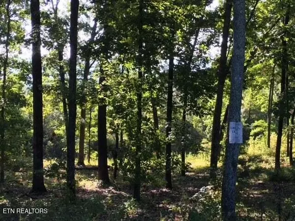Spring City, TN 37381,Lot 272 Spruce DR