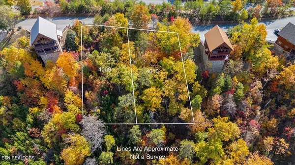 Sevierville, TN 37876,4009-4010 Starr Ridge DR