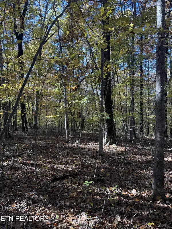 Monterey, TN 38574,LOT 29 Crest Rd