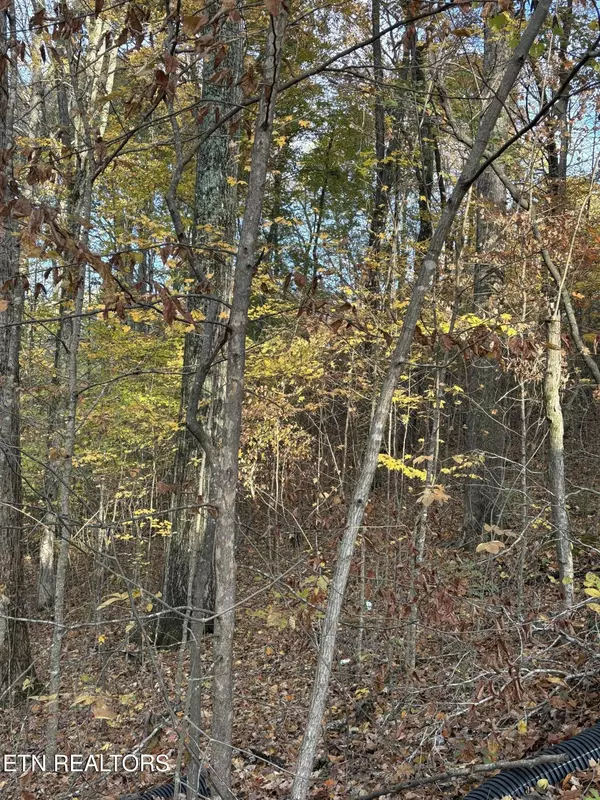 Sevierville, TN 37876,Highpoint LN