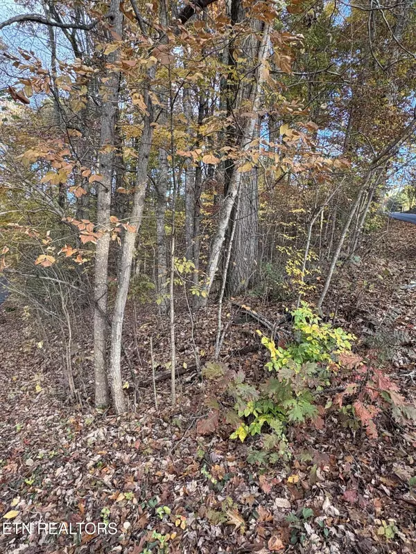 Sevierville, TN 37876,Highpoint LN