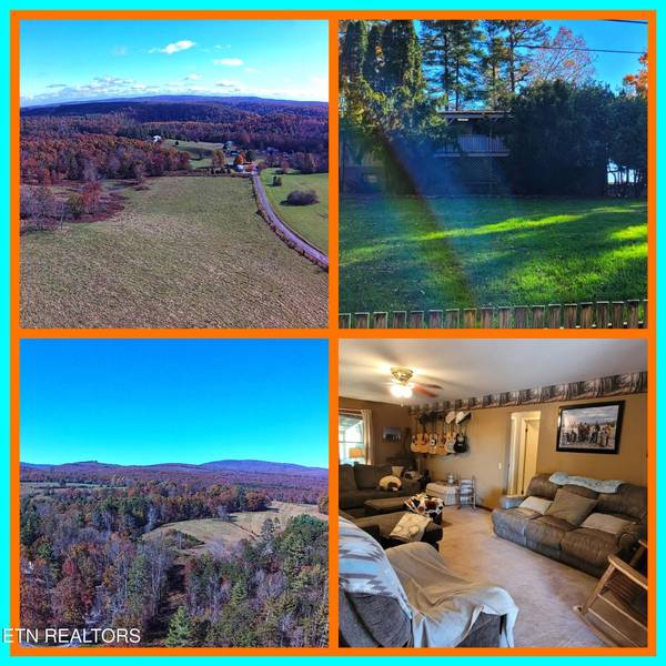 11 Cedar Hills Rd, Grandview, TN 37337