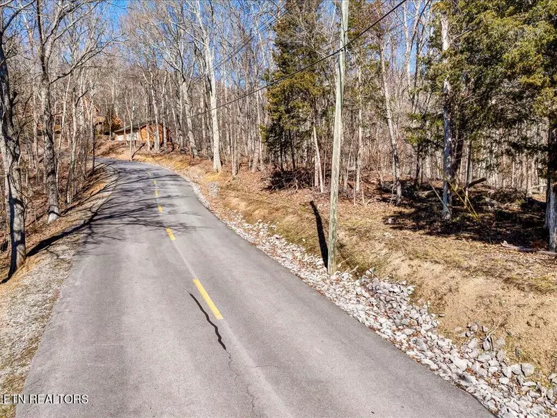 273 Chelaque WAY, Mooresburg, TN 37811