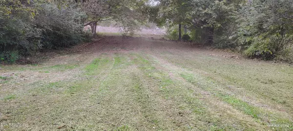 Riceville, TN 37370,206 County Road 738