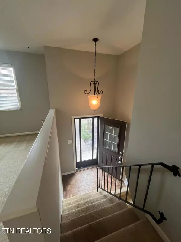 Knoxville, TN 37919,1113 Scottie LN