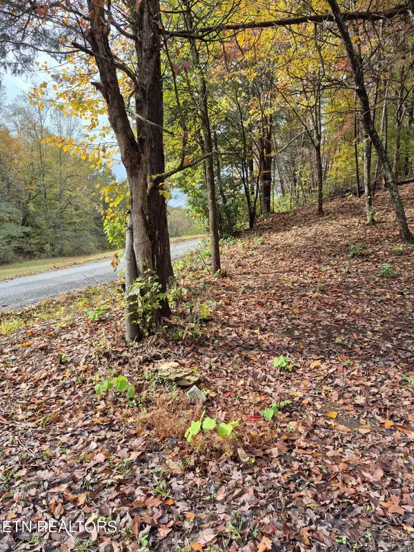 Tellico Plains, TN 37385,JD Farm Rd