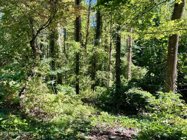 Sevierville, TN 37862,Lots 36-37 Cool Creek Rd